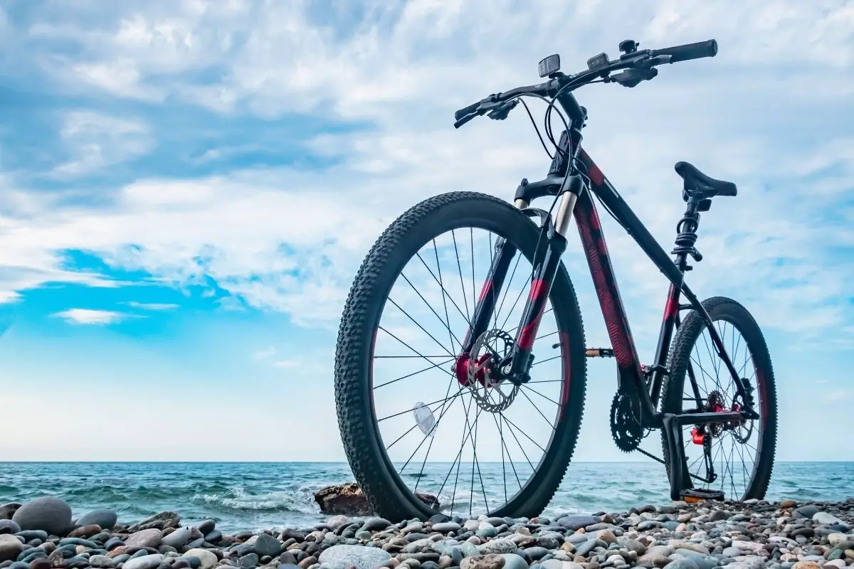 how much is a mountain bike