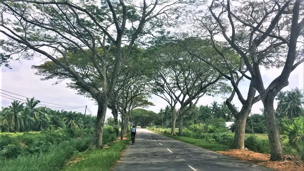 Best cycling route in selangor